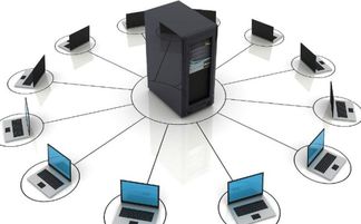 计算机网络的组成要素